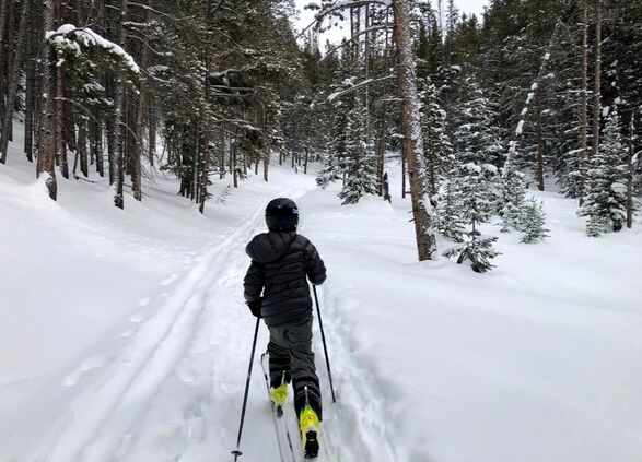 Human Powered Movement - Journal Entry - Cain Steinweg - Young Grom - Back Country Cross Country Skiing