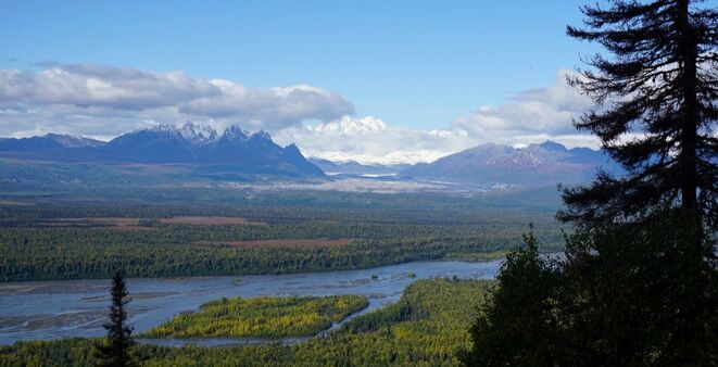 Human Powered Journal - My Mount Marathon - Curry Ridge Trail - Denali State Park - Alaska