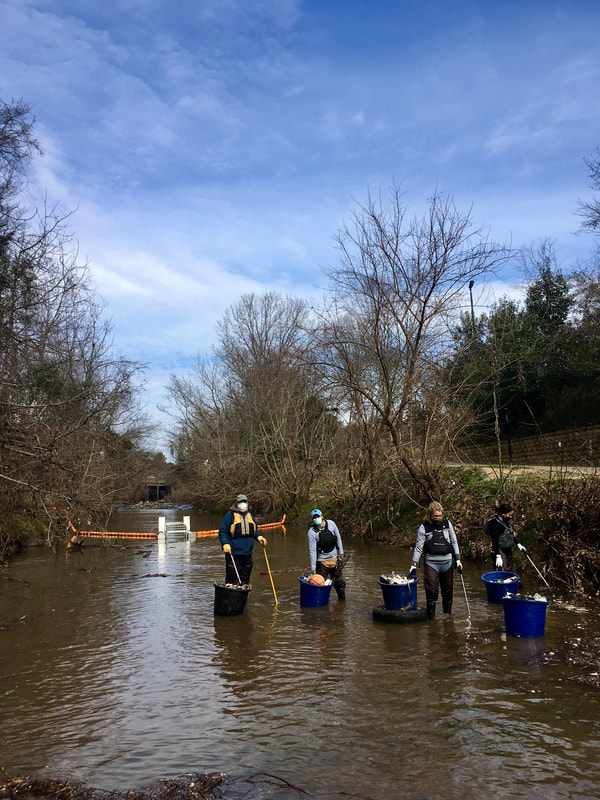 Human Powered Movement Challenge - Plastic Free Feb - Stream cleanup