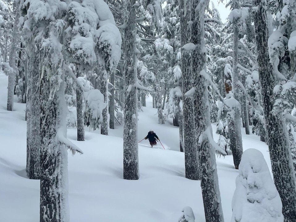 Megan Somloi - Human Powered Movement Journal Guest Contributor - Skiing the Trees of Doom - Mt. Bachelor