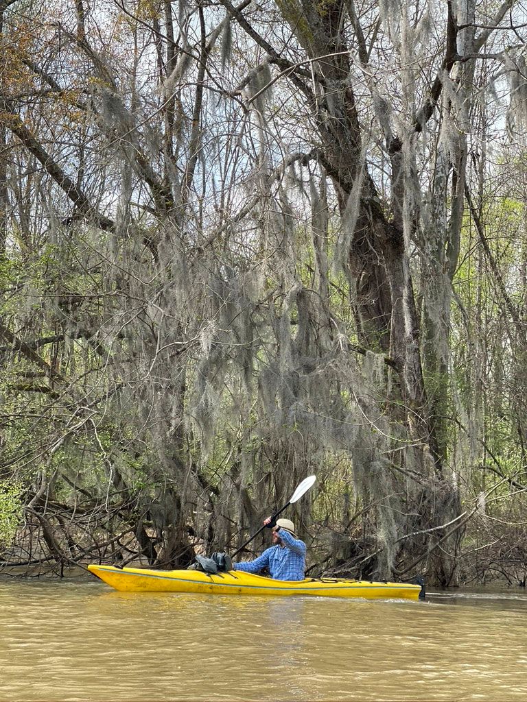 Human Powered Movement - Journal - Paddling along Spanish Moss - Paddling the entire length of the Wateree River with the Catawba Riverkeeper Foundation